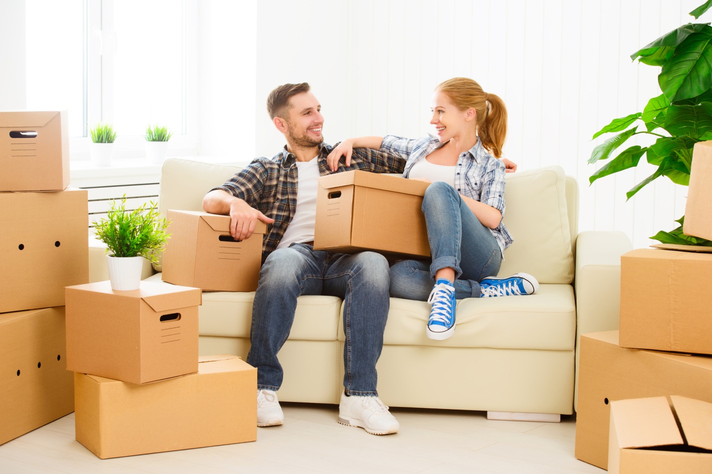 packers and movers banner
